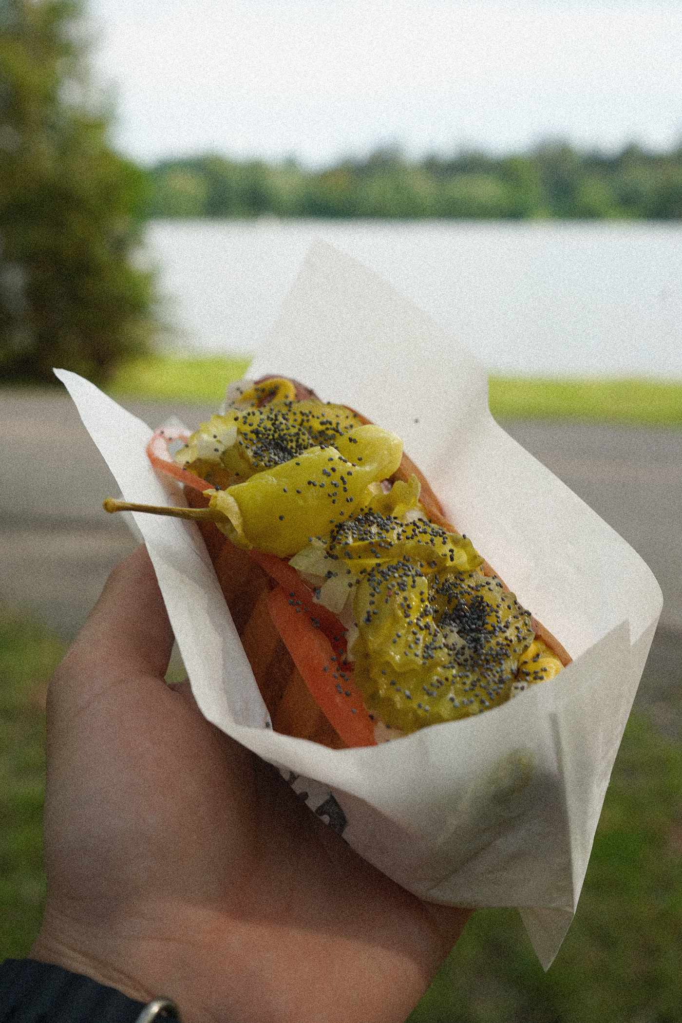 A GBurger hot dog with mustard and poppy seeds, held up beside Dow’s Lake