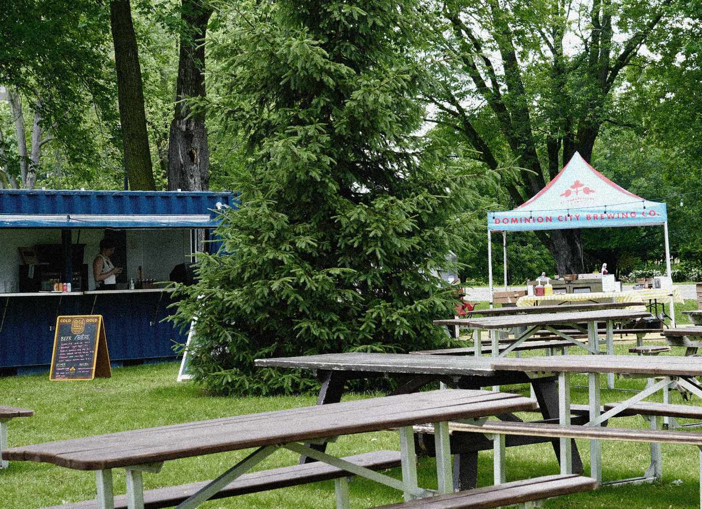 Picnic tables on the grass under the trees at Bar Lakeside, Dow’s Lake
